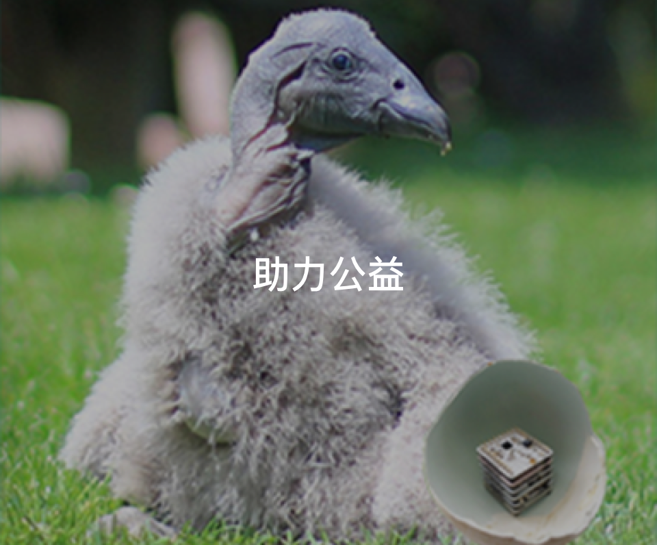 金年会
