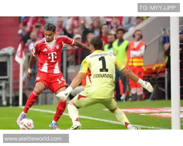 汉堡主场重生，德甲保级希望再现