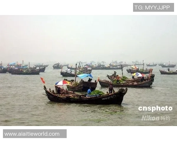 赛场新秀青岛国信水产惊艳表现，获赞无数